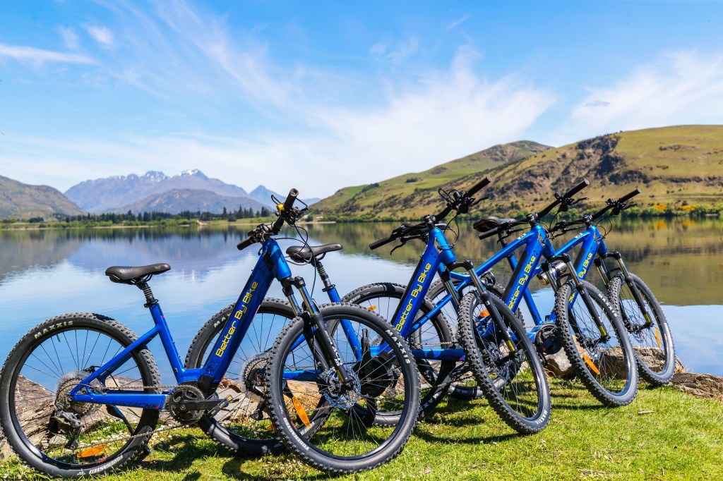 Four blue bicycles parked on grass by a lake with mountains in the background.