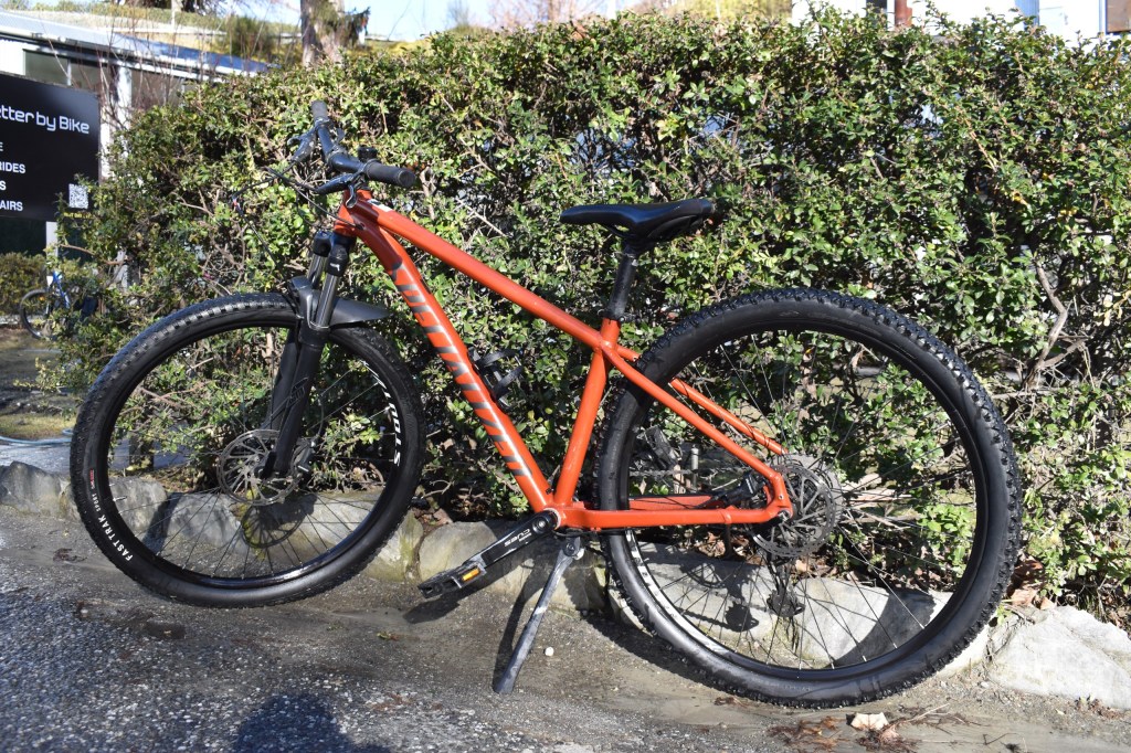 Orange mountain bike parked against a bush on a sunny day.