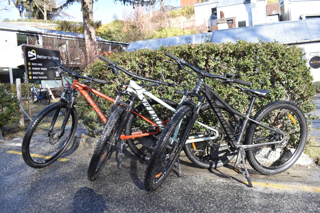 Three mountain bikes parked on a wet pavement in front of a bush.